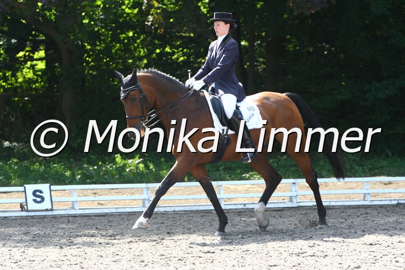 009M6471_Syriolan_Dressur Sx.JPG